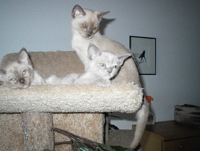 Casey,Quintana,Questa