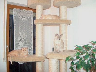 Kisses+Butterfly+Luke