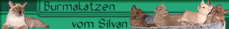 Silvia Roell-Becker's Burmakatzen 'vom Silvan'